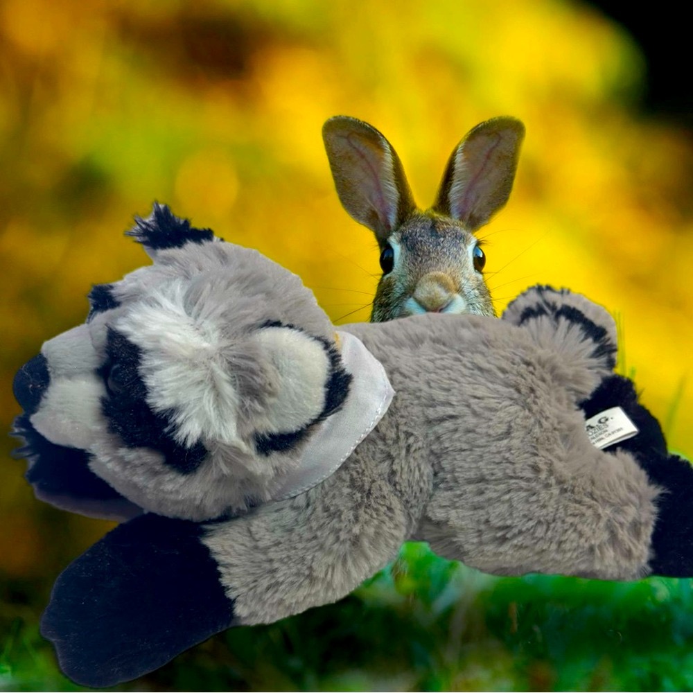Realistic Raccoon Plush Stuffed Animal, So soft and cuddly - Gray